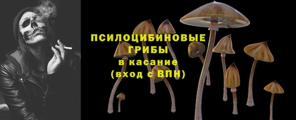 дмт Аркадак