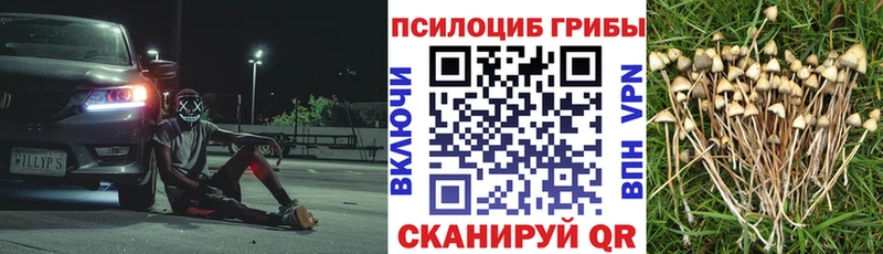 Галлюциногенные грибы MAGIC MUSHROOMS  Купить закладки  Спасск-Дальний 